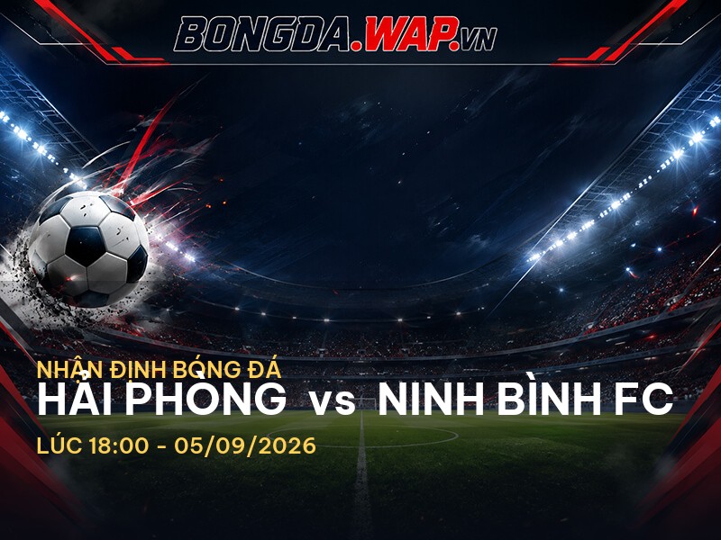 Nhận định bóng đá trước trận Hải Phòng vs Ninh Bình FC Nhận định bóng đá trước trận Hải Phòng vs Ninh Bình FC